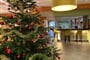 Alpenblick Hotel (4)