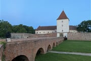 IMG 4675