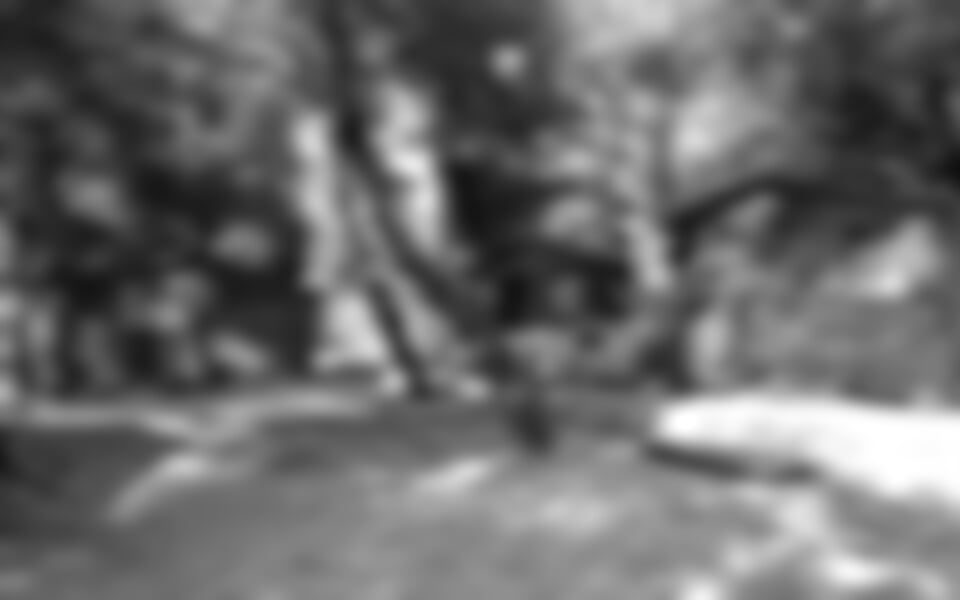 Primošten - Kemp Adriatic ***