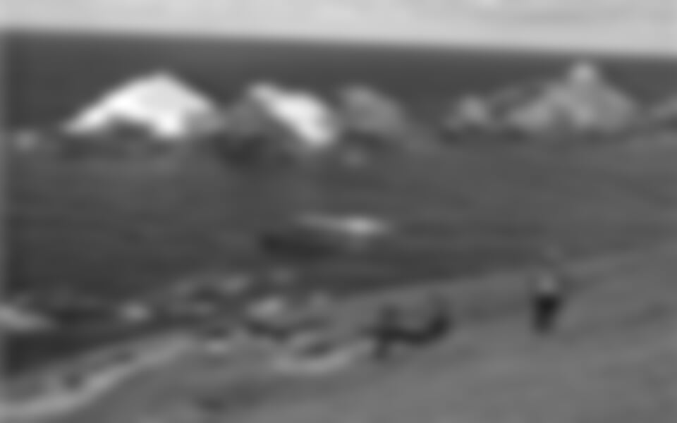 Skotsko - Shetlandy s turistikou