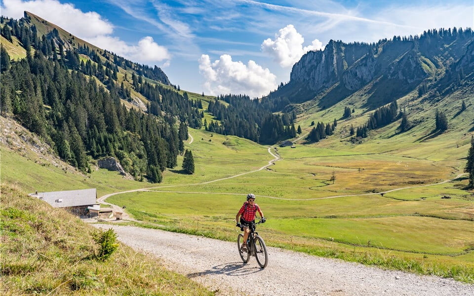 WALD_shutterstock_1821980378