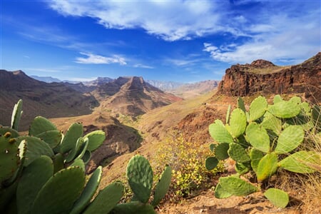 Kanárské Ostrovy - Gran Canaria