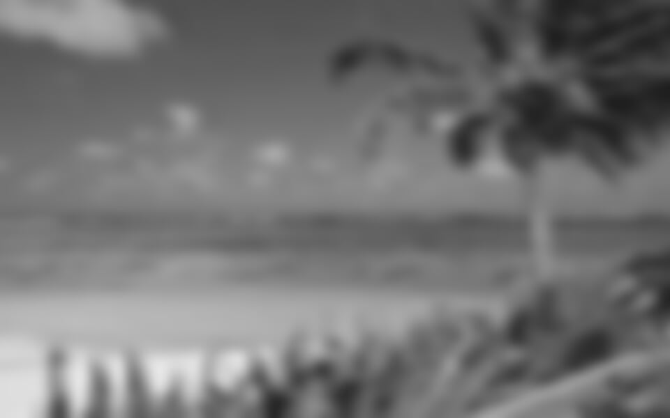 Cookovy Ostrovy - Rarotonga - Palm Growe Lodges**+