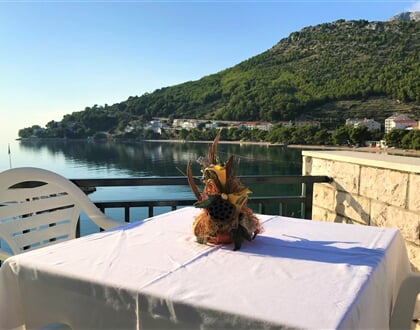 Vila Zuzana Drvenik A21 11