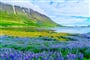 Isafjordur (2)