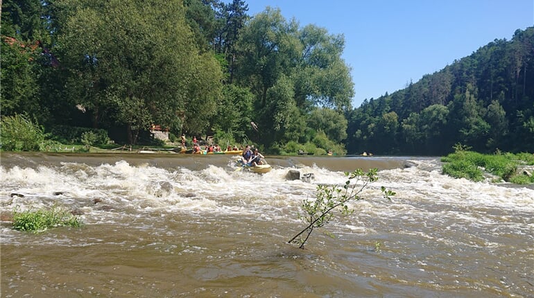 Foto - Sázava - 7denní voda ze Světlé do Pikovic