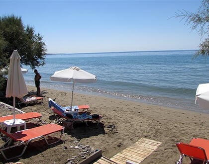 Studia-Corali-4