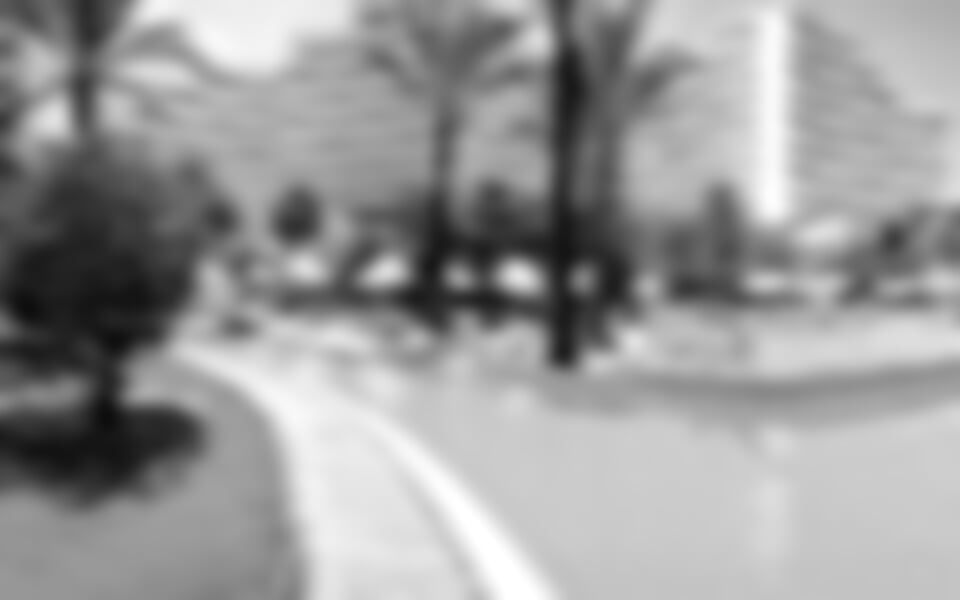 Pevnina - Riadh Palms ****