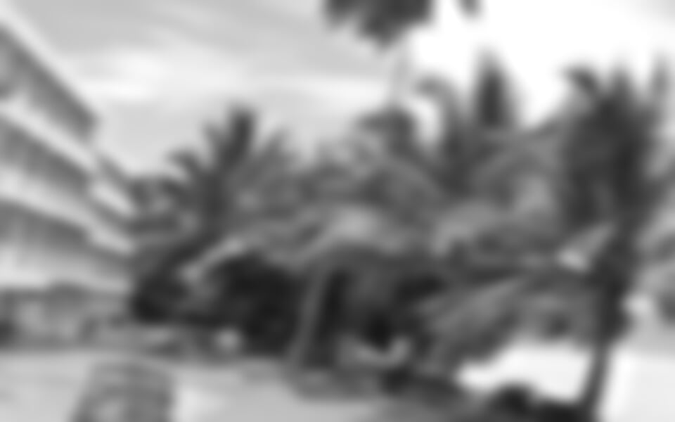 Srí Lanka - Induruwa - Induruwa Beach***