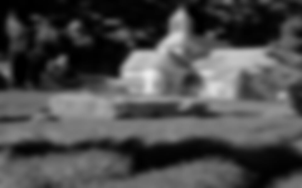 Jižní Francie - Jižní Francie - Přírodní krásy Provence