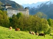 Zell am See (7)