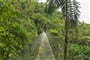 lanový most v horském lese Monteverde