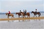 Vyjížďky na koních, Baja Sardinia, Sardinie