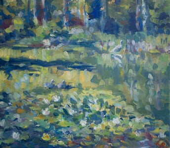 Rybníček ve světle