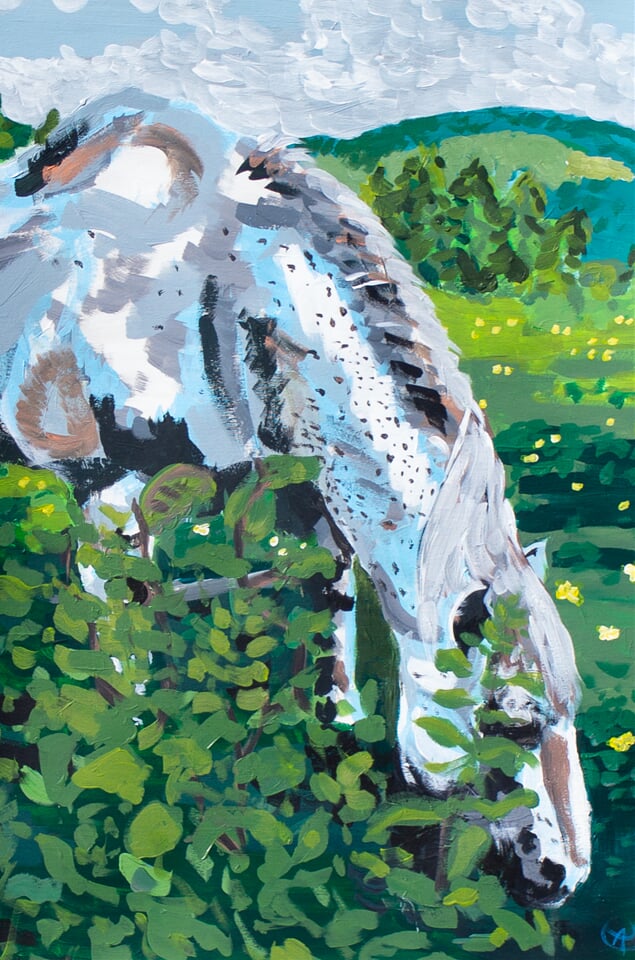 Horse behind the bushes