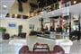 Vittoria hotel RiminiRiccione leto2021 (2)