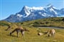 patagonie 16