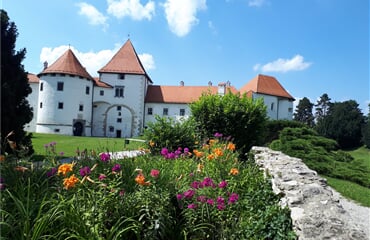 Ptujské Kolorádo