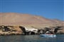 napric peru 04