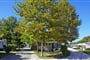 Butterfly camping PeschieradelGarda leto2021 (1)
