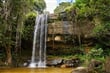 vodopád v Shimba Hills