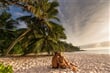romantika na ostrově Praslin - Seychely