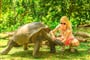 blízké setkání s Želvou obrovskou na ostrově Seychely