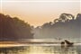 Poznávací zájezd Peru - břehy Amazonského pralesa - Capybara