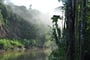 Poznávací zájezd Peru - Amazonský prales