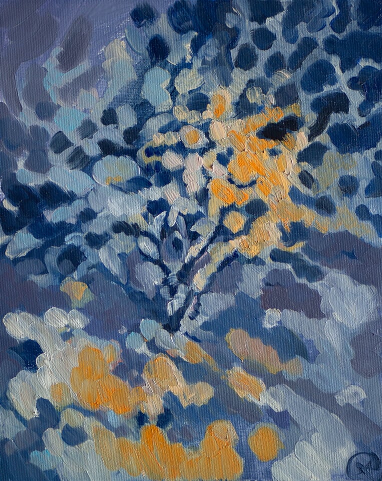 Pomerančová na stromě