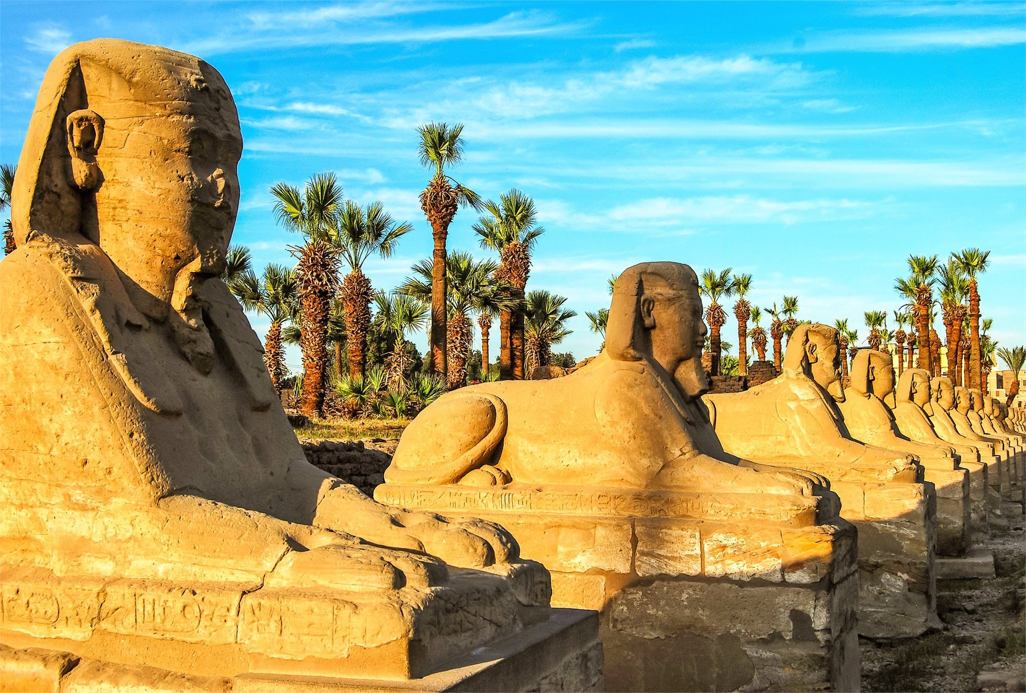 Egypt - alej sfing v Karnaku