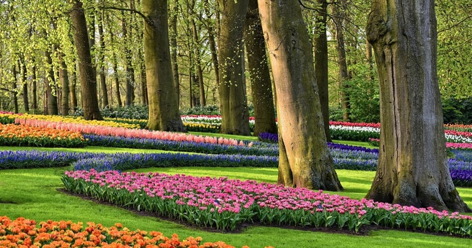 Poznávací zájezd Nizozemsko - park Keukenhof