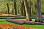 Poznávací zájezd Nizozemsko - park Keukenhof