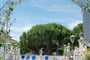 Trevi hotel lidodijeselo leto2021 (8)