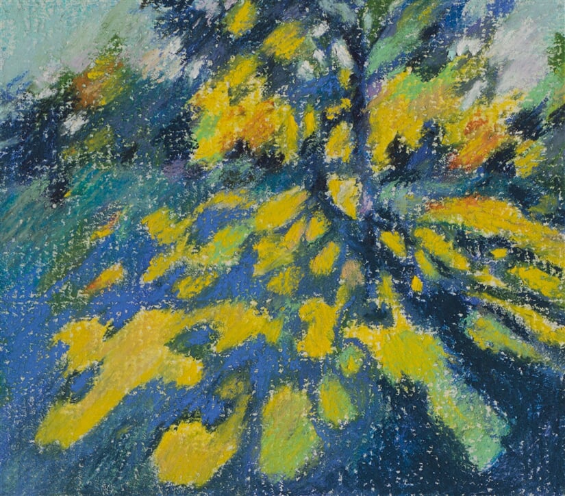 Japanese garden 11/02/21 - soft pastel