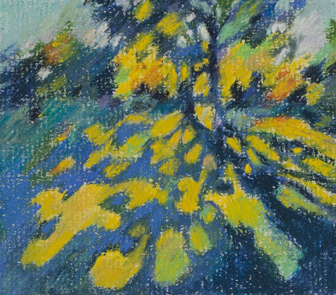 Japanese garden 11/02/21 - soft pastel