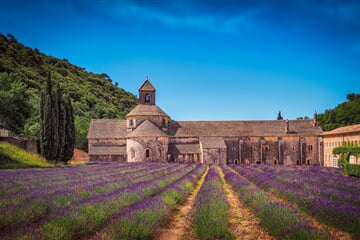 monastery, lavender, levanduľové field, sénanque