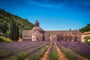 monastery, lavender, levanduľové field, sénanque