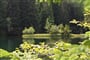 Poznávací zájezd  Slovensko - Jasná, Vrbické pleso