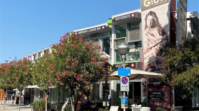 32 bibione