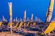 38 bibione