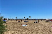 41 bibione