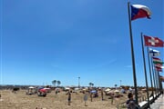 42 bibione