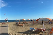 49 bibione