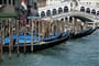 Poznávací zájezd Itálie - Benátky, most Rialto