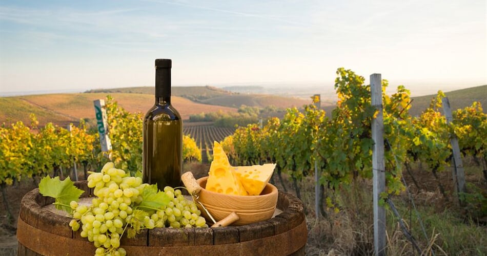Foto - Kouzlo hledání lanýžů a toskánská vína + ŠIKMÁ VĚŽ V PISE + FLORENCIE (letecky z