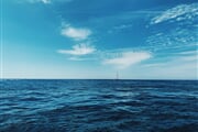 vanessa CdhvGEOHU9w unsplash