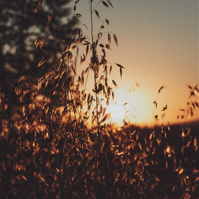 awv oju8wA3Y2NI unsplash