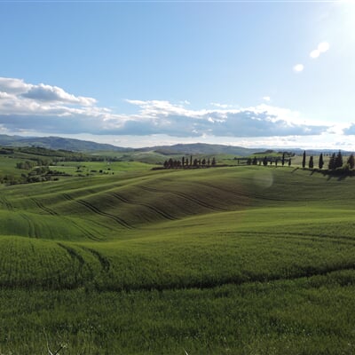 evan verni ey8jUdFpRvU unsplash