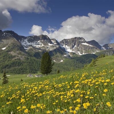 ApTValdiFassa 002 NICOLA ANGELI 465